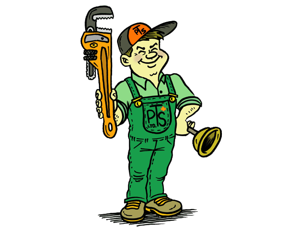 Professional plumber holding wrench and plunger