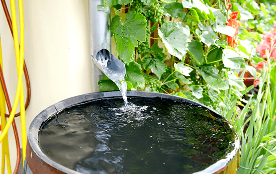 water conservation at home