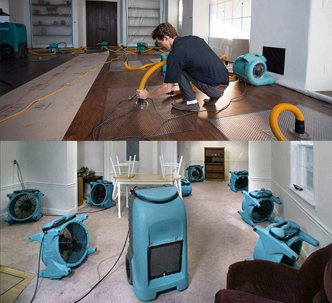 water damage restoration by professional