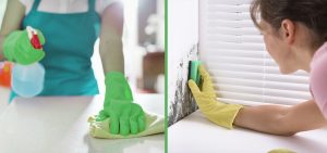 Expert removing and cleaning mold