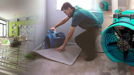 expert remove water under carpet area