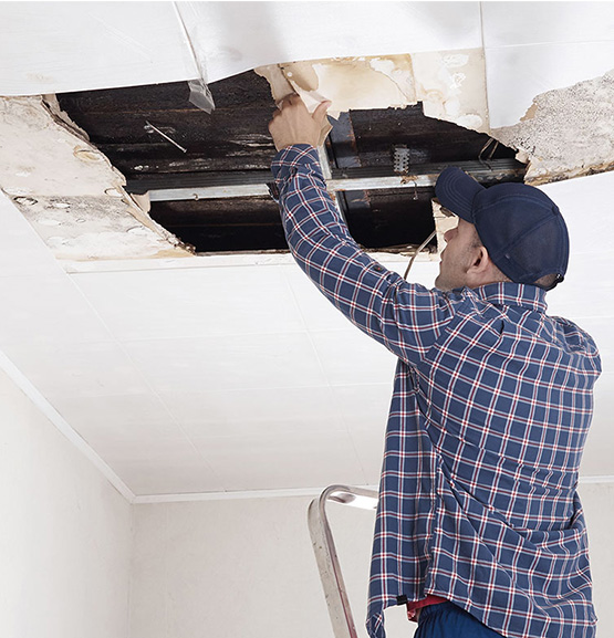 water damage inspection by professional