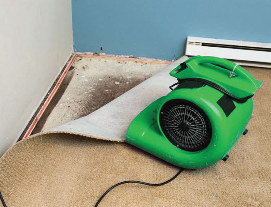 Dehumidifier drying the wet carpet area